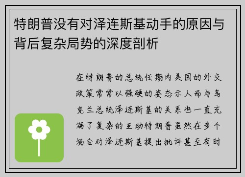 特朗普没有对泽连斯基动手的原因与背后复杂局势的深度剖析