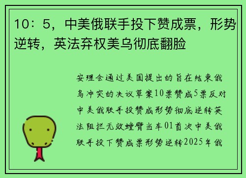 10：5，中美俄联手投下赞成票，形势逆转，英法弃权美乌彻底翻脸